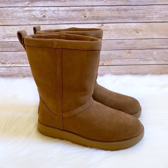 UGG Shoes - UGG Chestnut Classic Short Waterproof Boots